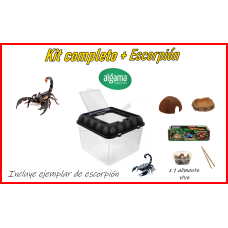 Kit completo + Escorpión